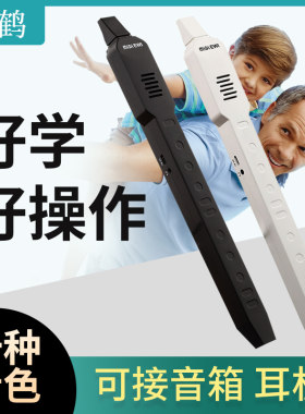 玄鹤迷你电吹管葫芦丝萨克斯笛子唢呐老年人简单易学智能伴奏乐器