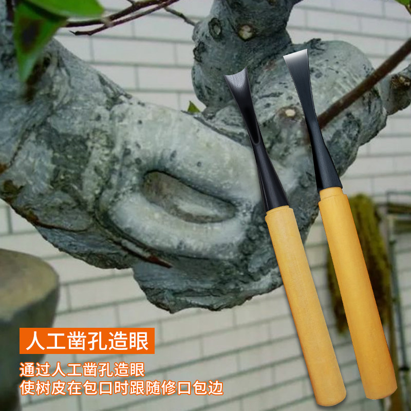 麦斯旺铬钒钢平头圆头凿子断树根修马眼榉木柄凿木工套装盆景工具