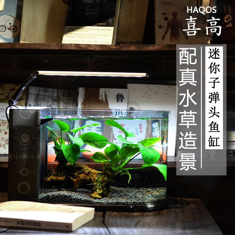 鱼缸客厅小型桌面家用造景套餐乌龟缸水陆缸免换水懒人生态水族箱