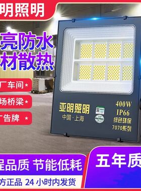 新疆包邮led投光灯50w100w200w户外防水超亮泛光灯射灯工程防雷灯