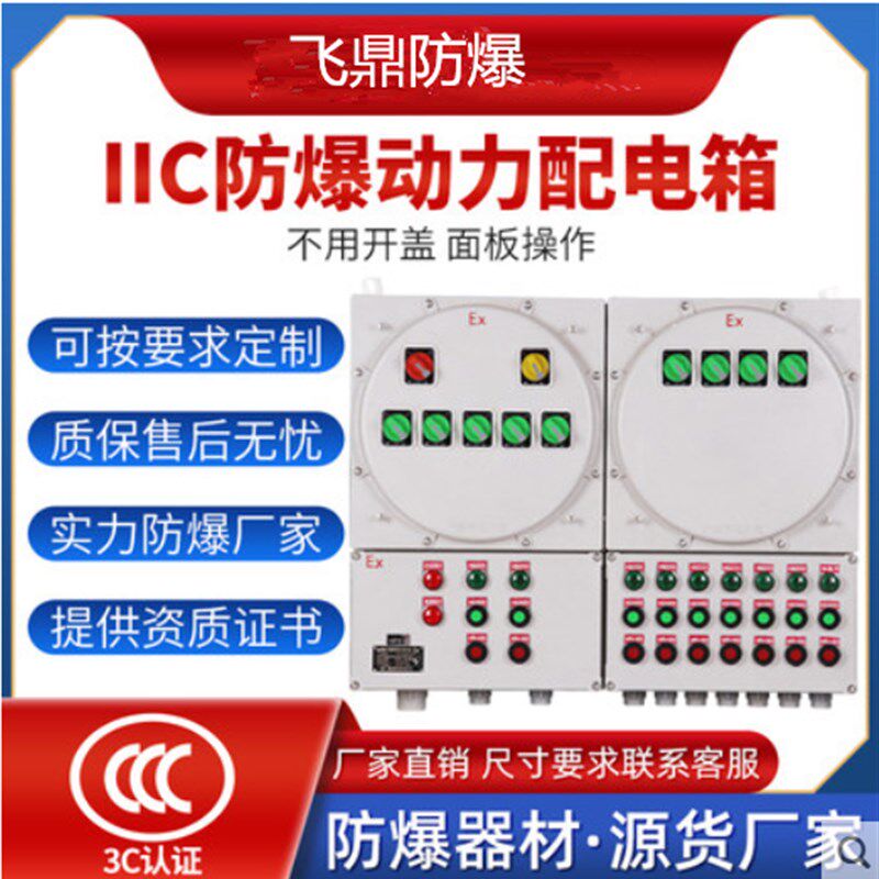 IICIIB防爆配电箱照明动力检修控制仪表箱插座插头开关磁力启动箱