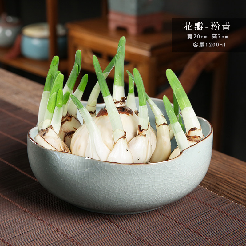 水仙花盆专用水培哥窑大口径创意花瓣陶瓷家用客厅水养绿植摆件图片