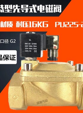 PU225-20A 先导式电磁阀SLP-50水阀气阀 新恭电磁阀 AC220V SLGPC