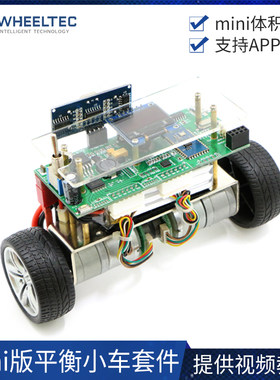 【Mini版】STM32两轮平衡小车 双轮自平衡小车套件