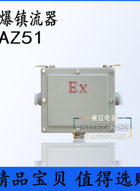 防爆镇流器箱 BAZ51系列 防爆灯具镇流器 防爆镇流器配电箱