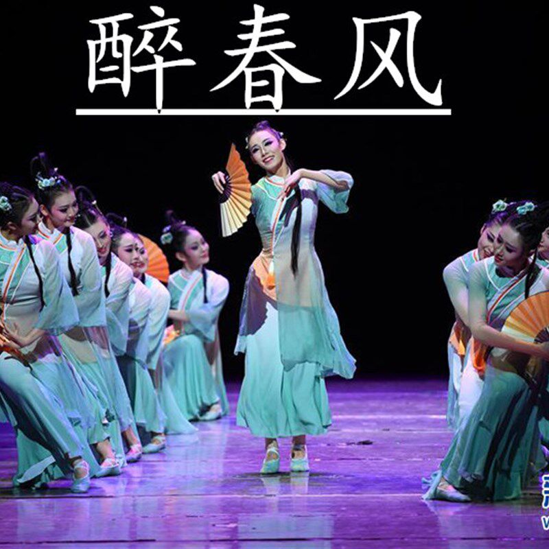 醉春风古典舞成人扇子舞秧歌舞蹈演出服女子群舞大合唱广场舞服装
