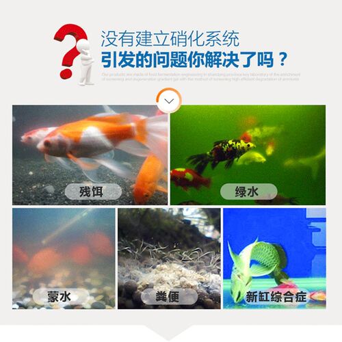 池良硝化细菌降氨氮鱼缸净化剂鱼缸水质稳定剂消化活菌小鹏说水族