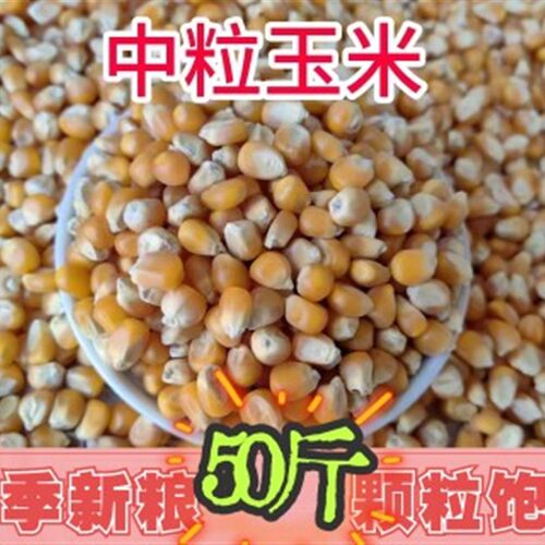 50斤装中粒玉米鸟食赛飞饲料信观赏鸽子粮比赛专用19省包邮