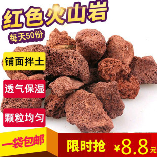 火山石颗粒水族过滤材料鱼缸造景摆设天然红黑火山岩多肉土铺面石