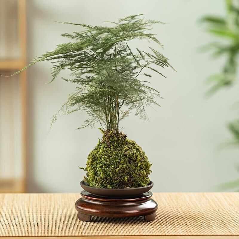 苏工黄铜三足底座花瓶聚宝盆w托架家居办公室内桌面摆件茶杯垫托图片