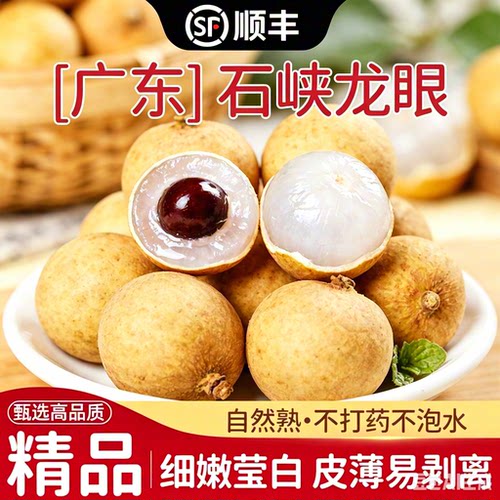 当季广东石硖储良龙眼大果现摘
