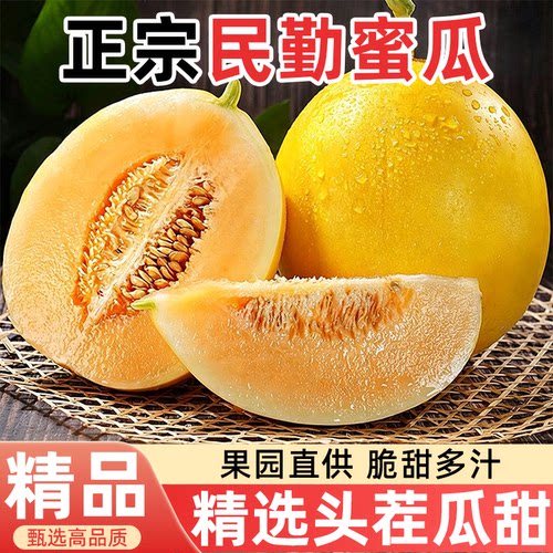 甘肃民勤蜜瓜新鲜甜瓜脆甜多汁