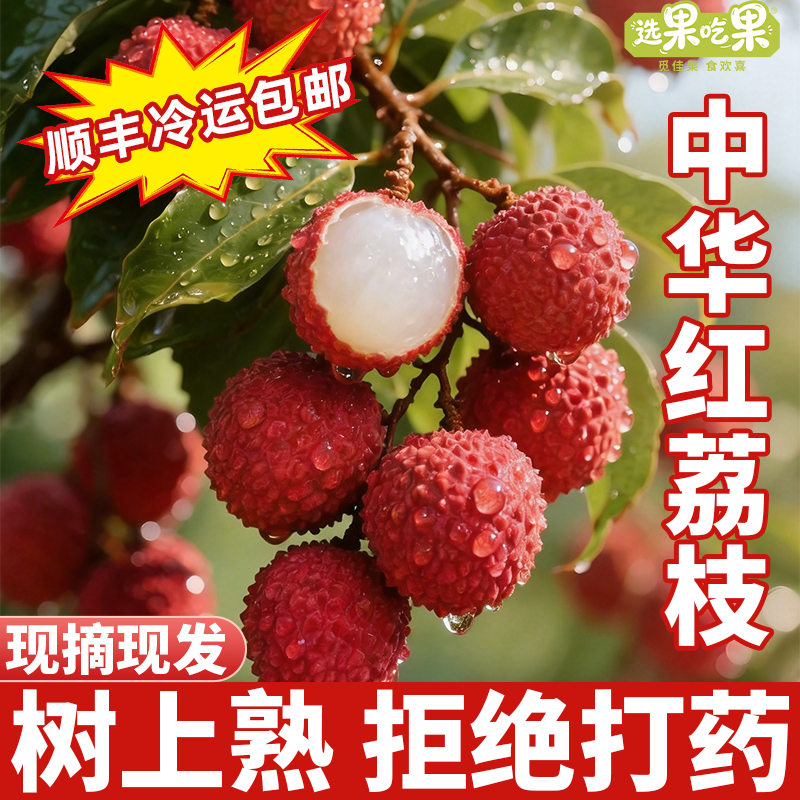 广东茂名当季白糖罂新鲜荔枝现摘现发香甜糯米核小皮薄肉厚水果