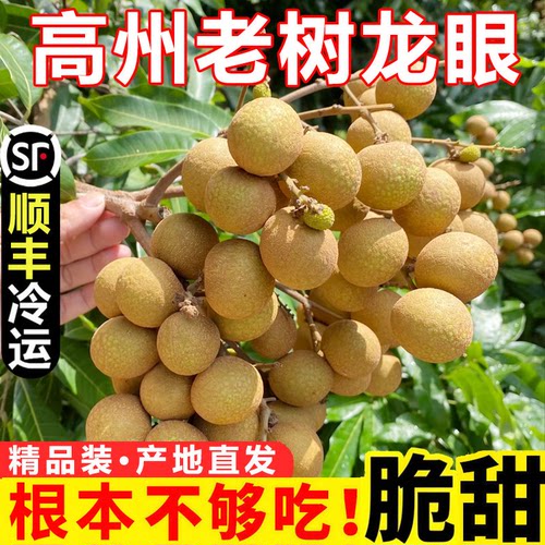 广东当季石硖龙眼精品大果水果