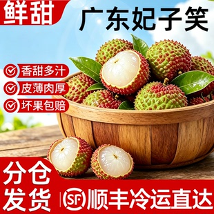 【现货分仓发】正宗广东妃子笑荔枝新鲜孕妇岭南整箱应季水果包邮