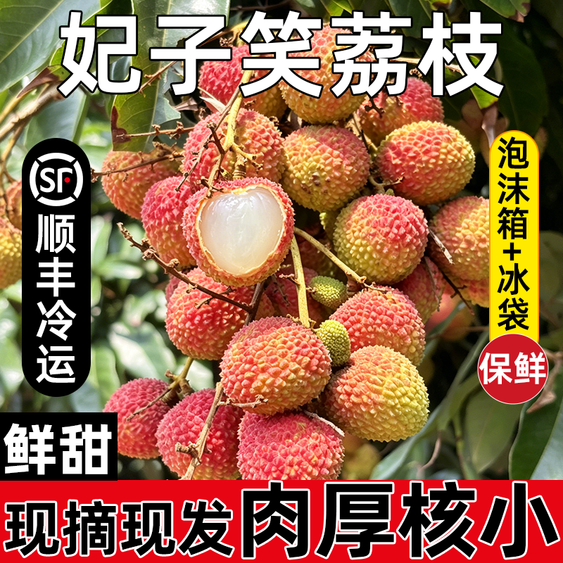正宗广东妃子笑荔枝小核新鲜现摘现发当季水果皮薄多汁一整箱包邮