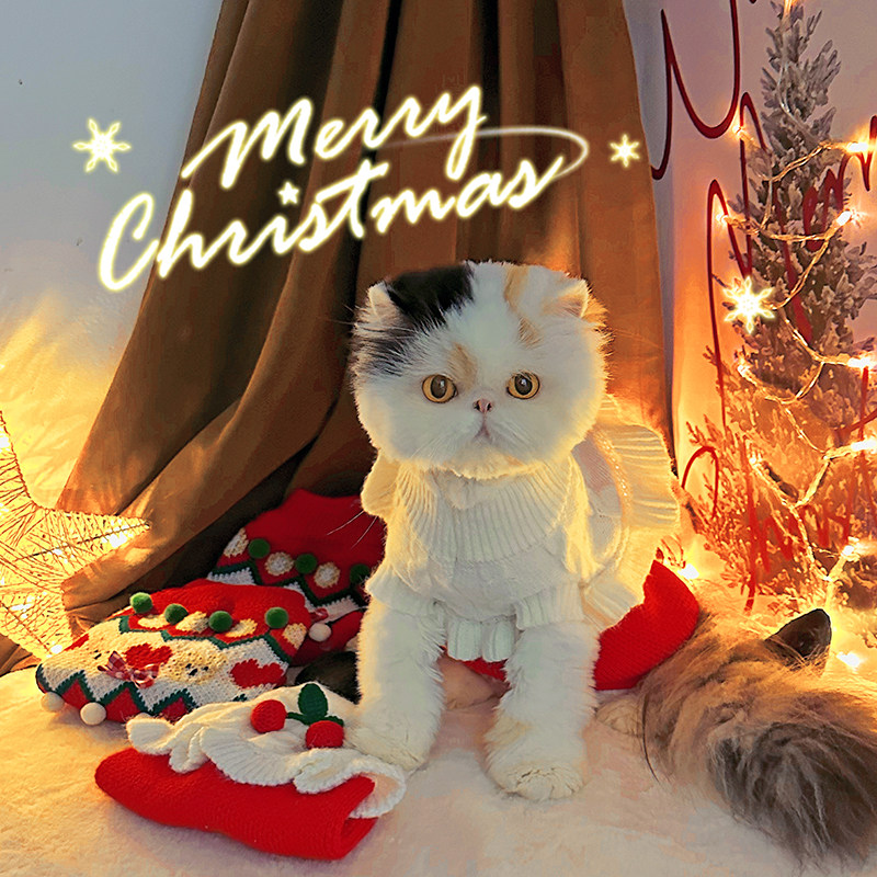 袋袋猫 圣诞红毛衣 宠物新年衣服喜庆装扮宠物冬季狗狗过年红衣服