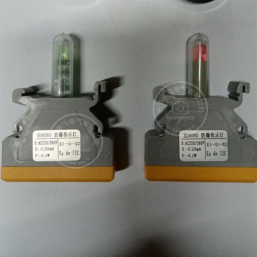 BD8060指示灯 灯芯  AC220V-380V  24V 防爆配件 开孔30mm 红绿黄