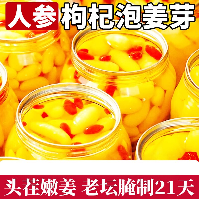 淄博人参枸杞泡姜芽新鲜嫩姜芽酸甜腌制泡菜下饭菜生姜片山东特产