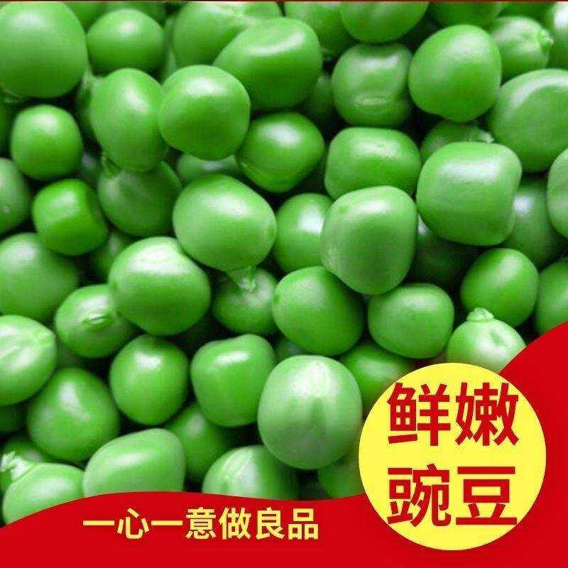 速冻新鲜冰鲜嫩青豆粒炒菜沙拉炒饭菜生青豆冷冻青豌豆软糯豆蔬菜