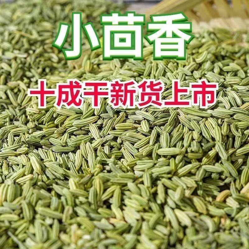 茴香甘肃小茴香小茴中药食用特级香料调料厨房新鲜家用新货
