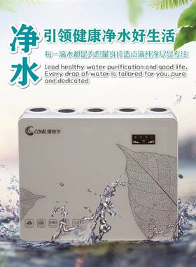 康倍尔家用净水器  RO反渗透纯水直饮机PG02 包安装