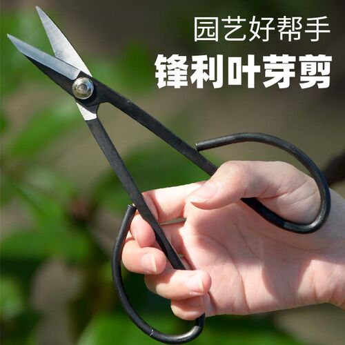 叶芽小枝剪盆景剪刀修剪芽剪园艺修枝专业花剪插花制作工具