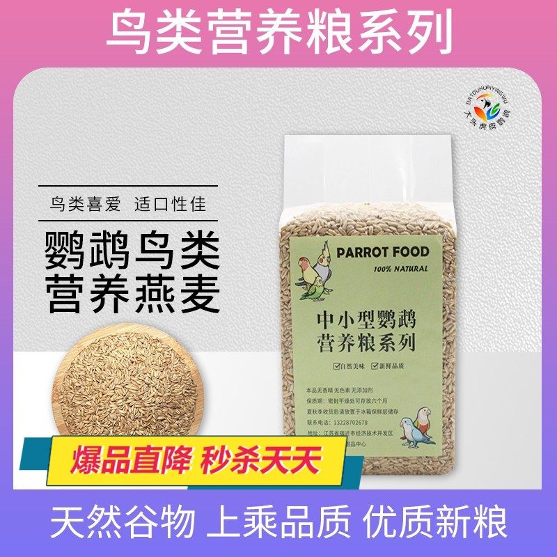 新鲜燕麦鸟食燕麦仁虎皮玄凤牡丹鹦鹉粮食燕麦米鸟粮饲料营养爱吃图片