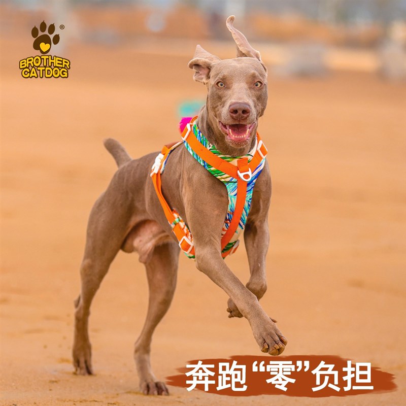猫兄狗弟新款中大型犬背心式狗狗胸背带宠物遛狗绳子