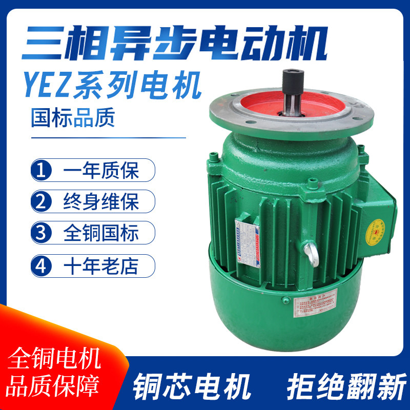 真牛电机YEZ112L-4/4.5KW法兰250mm300mm锥形转子三相异步电动机