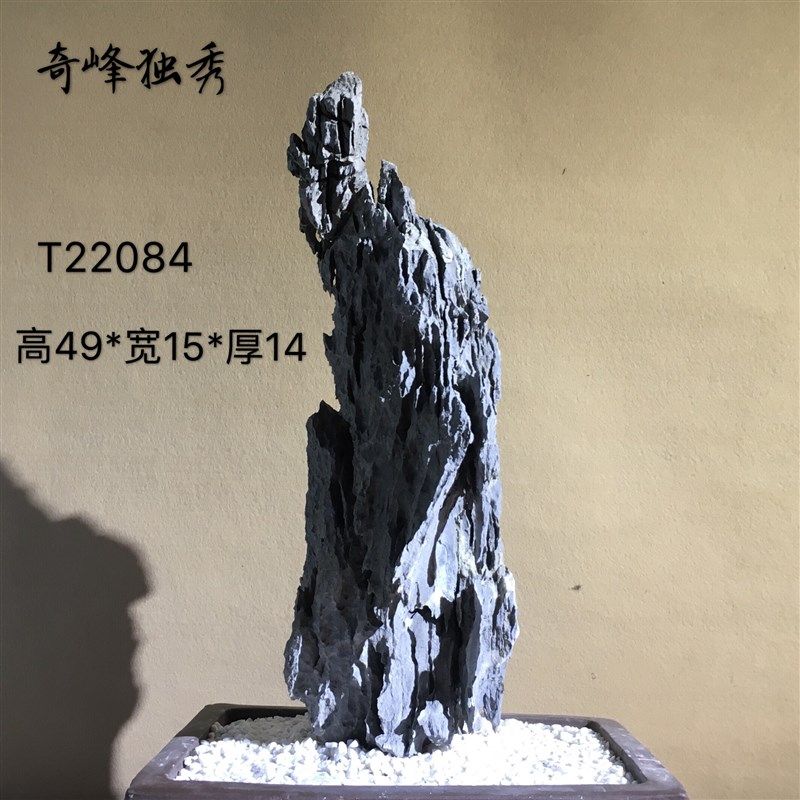 英德盆景附树石条文房摆件清供鱼缸造景配景观赏天然原真奇石头