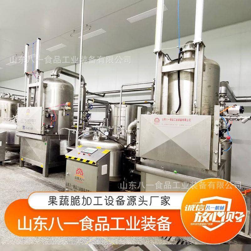 小型低温真空油炸机猕猴桃干加工设备枣油炸价格电加热全自动水果