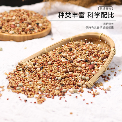 鸽子食粮饲料鸽粮信鸽赛鸽种鸽专用营养粮食用品带小颗粒豌豆鸟食
