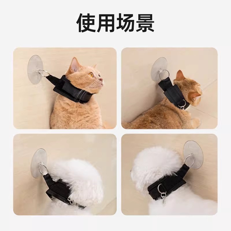 猫咪洗澡固定器宠物猫咪狗狗剃毛剪指甲防挣脱神器防跑防抓咬用品图片
