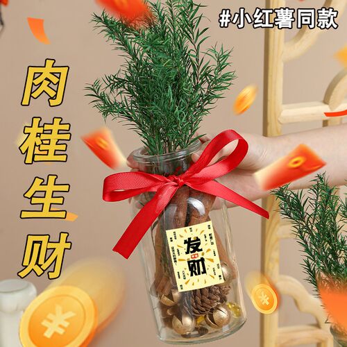 肉桂生财玻璃瓶摆件办公室桌面招财客厅乔迁之喜新居搬家入宅礼物