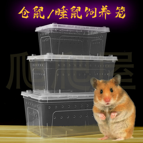 透明仓鼠饲养箱金丝熊专用鼠笼花枝鼠舒适鼠窝外带型仓鼠收纳笼二
