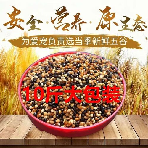 五色黍子鸟食饲料混合粮芦丁鸡谷子虎皮牡丹玄凤中小型鹦鹉