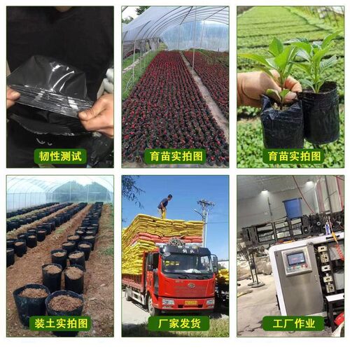 营养杯育苗杯大号袋加厚一次性塑料农用西瓜种植柑橘育苗盆营养钵