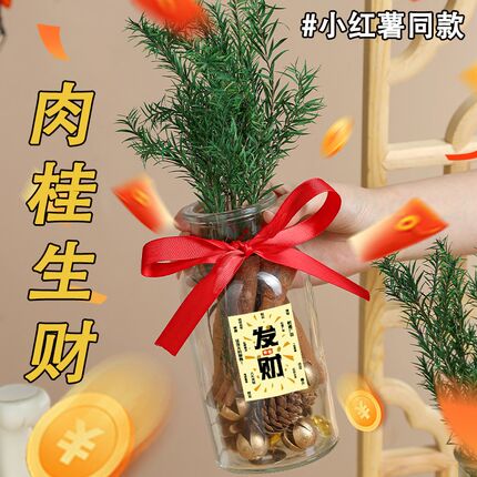肉桂生财玻璃瓶摆件办公室桌面招财客厅乔迁之喜新居搬家入宅礼物
