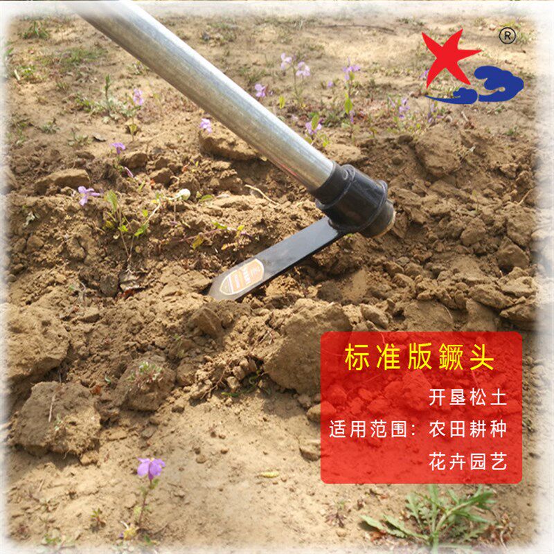 长智海星大镢头钢镐刨土工具挖笋锄头 锻打镢头农具包邮图片