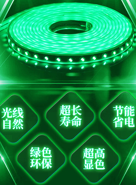 LED灯带条绿色220V绿光灯带户外防水超高亮公园绿植亮化装饰线灯