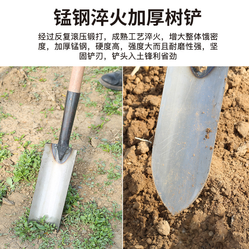 挖沟铲铁锹取土器农用挖树根工具挖坑挖土神器细长窄锹挖山药尖锹
