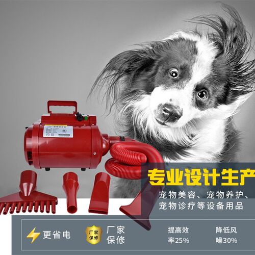 蓝豚双马达宠物吹水机猫狗大功率静音吹烘干机大中小型犬吹毛神器
