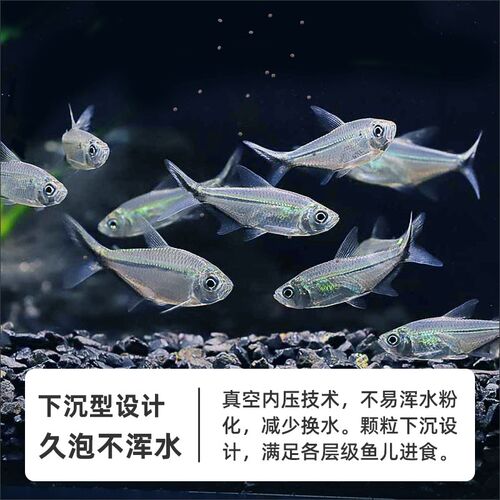黑尾大勾鱼饲料一眉道人鱼黑尾背勾专用饲料热带小型鱼鱼食小颗粒