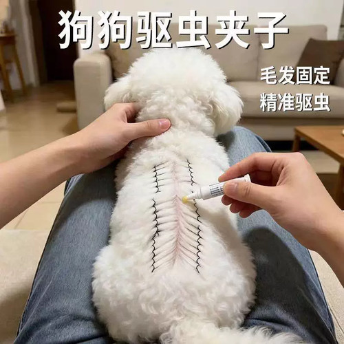 猫咪驱虫分毛夹狗狗通用固定毛发