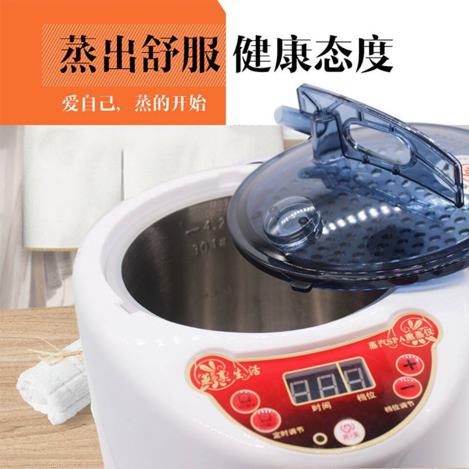 中药熏蒸机家用汗蒸机汗蒸箱蒸汽机蒸汽熏蒸仪全身桑拿浴箱熏蒸锅