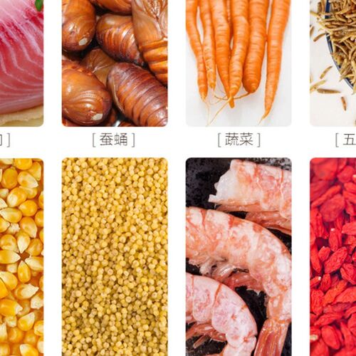 越南鹩哥饲料海南黑八哥鸟食饲料营养鸟粮乌鸫黑鸦