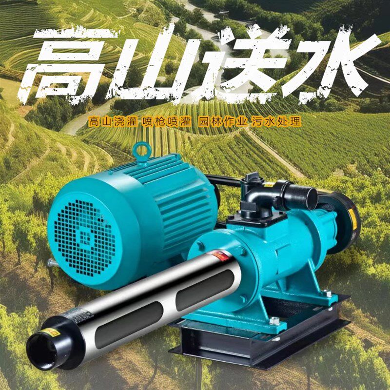 高山高扬程污水螺杆泵柴油机泵离心泵2寸抽水机茶山送水灌溉拖泵