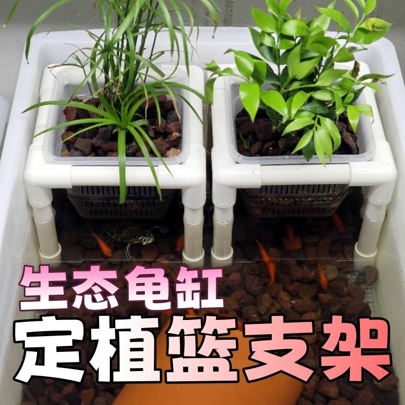 周转箱生态龟箱定植篮支架水培支架龟箱绿植种植盒架子龟缸绿植新图片