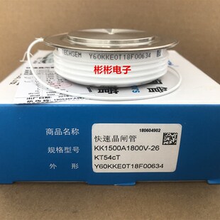 TECHSEM Y60KKE KK1500A1600V-1800V台基中频炉快速可控硅 晶闸管